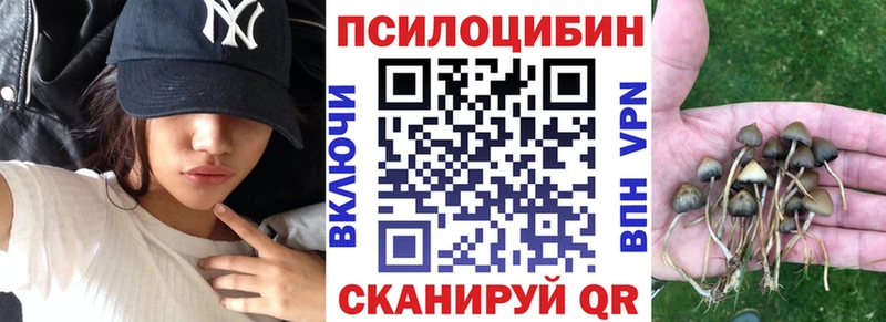 купить наркоту Чернушка Галлюциногенные грибы Psilocybine cubensis